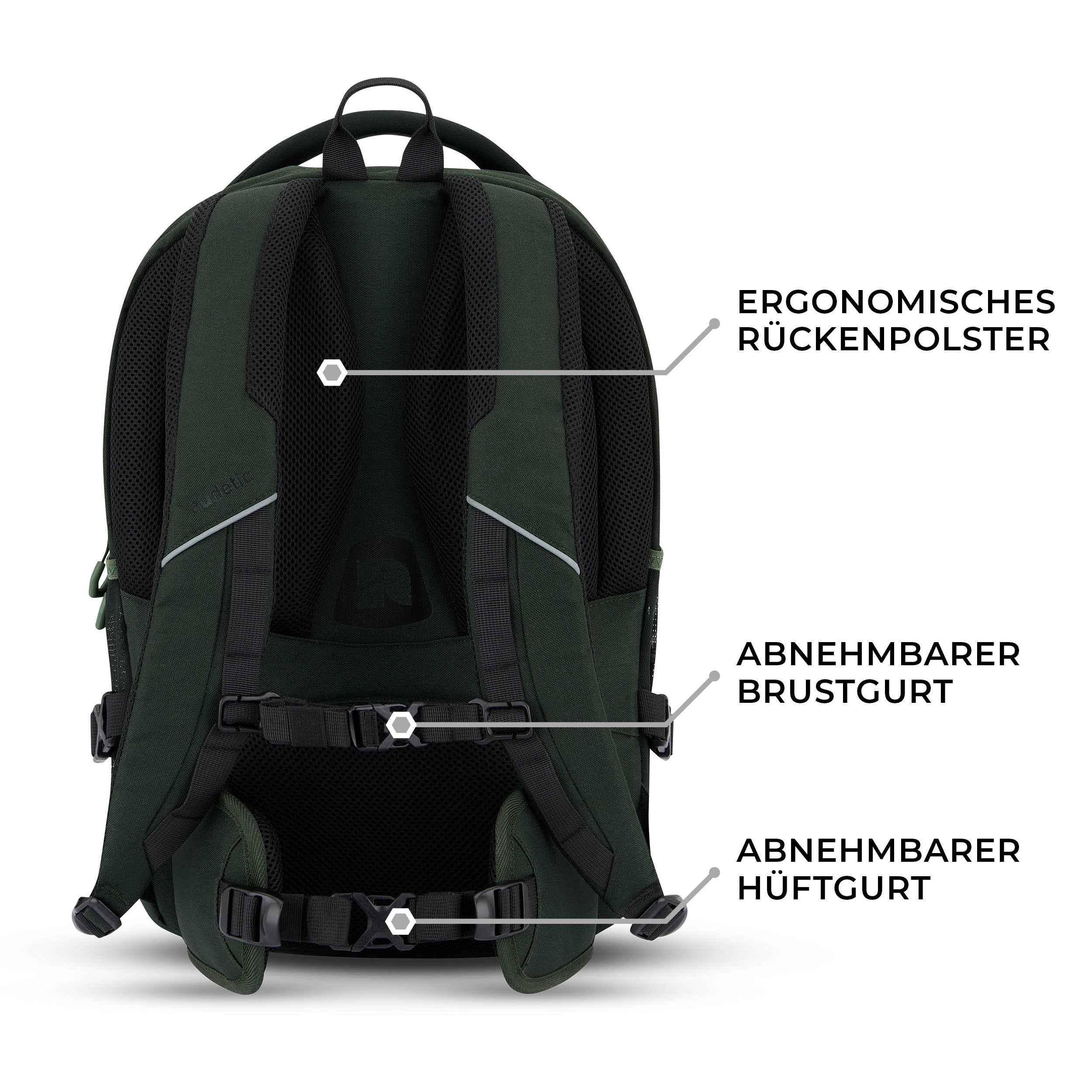 Rückseite des grünen Schulrucksacks COSMO mit ergonomischem Rückenpolster, abnehmbarem Brustgurt und abnehmbarem Hüftgurt